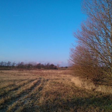 Holmehuset Bed & Breakfast Kalundborg Dış mekan fotoğraf